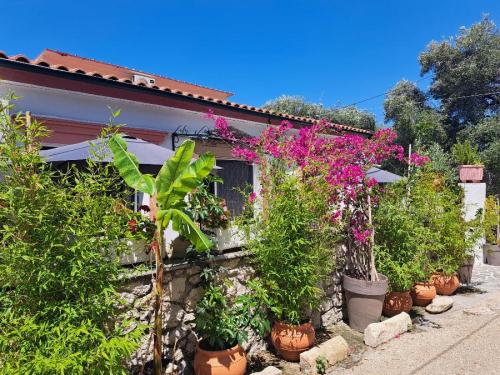 Mantzaros traditional house